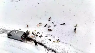 12 Ton Balık Yaban Hayvanlarına Yem Oldu