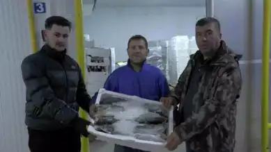 İç Anadolu'dan Dünyaya Balık: 10 Bin Tonluk İhracat
