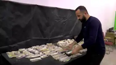 Kayseri'de 7,5 Milyon Yıllık 115 Fosil Keşfi!