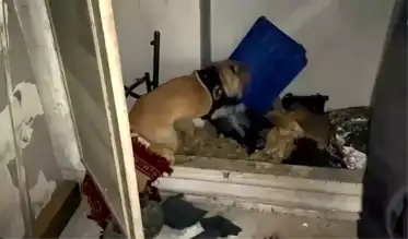 Kayseri'de 28 Bin Narkotik Hap Operasyonu