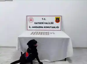 Kayseri'de 5 Gözaltı: 392 Sentetik Hap Ele Geçirildi