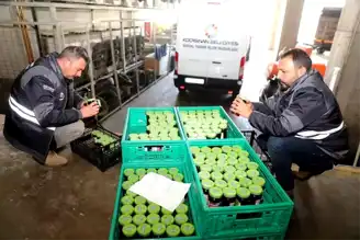 Kocasinan Belediyesi'nden Sosyal Destek Projesi