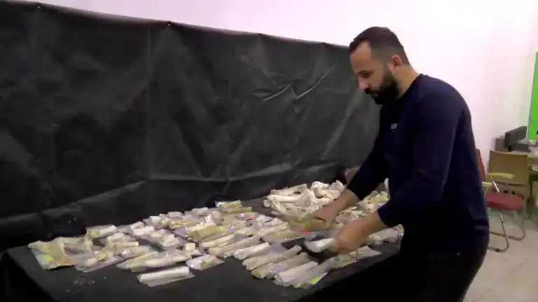 Kayseri'de 7,5 Milyon Yıllık 115 Fosil Keşfi!
