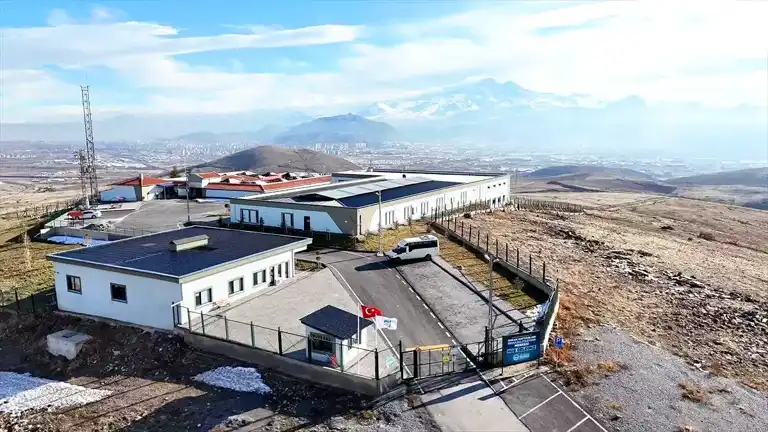 Kayseri'de Sokak Hayvanları Kurtarıcı Merkezleri