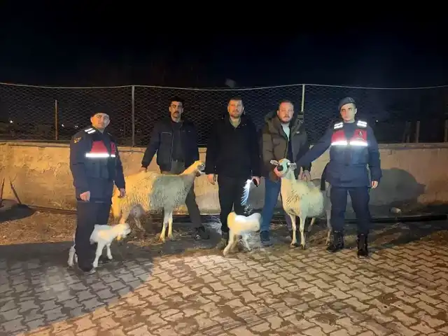 Kayseri'de Küçükbaş Hayvan Hırsızlığı: 3 Tutuklama