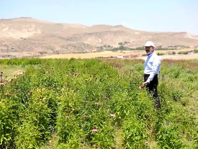 Kocasinan'da Tarımda Devrim!