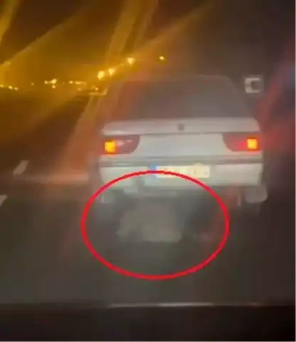Ölü Hayvanı Sürüklemekten Gözaltı